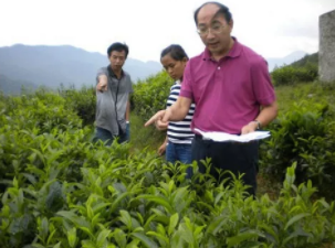 数据看中国 | 决战脱贫在今朝!全面建成小康社会 一个民族都不能少