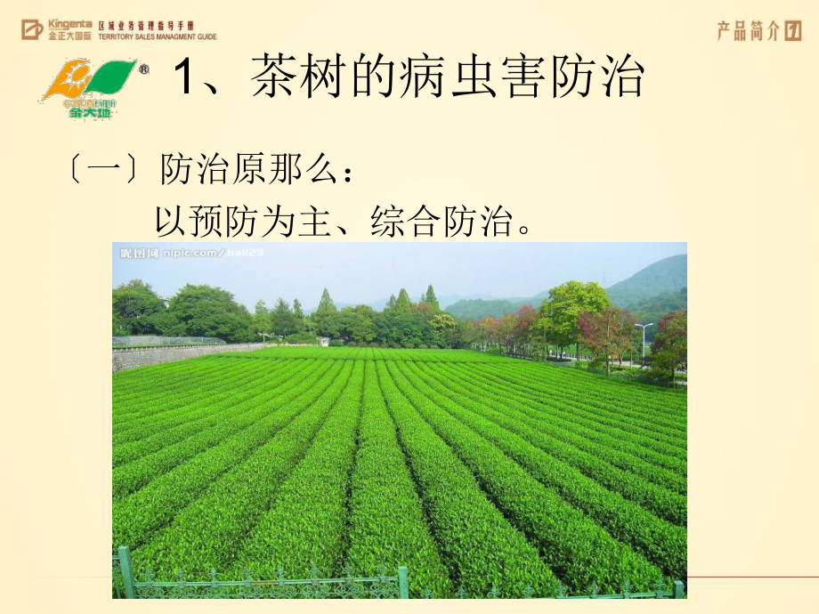 《茶树种植管理培训》ppt课件