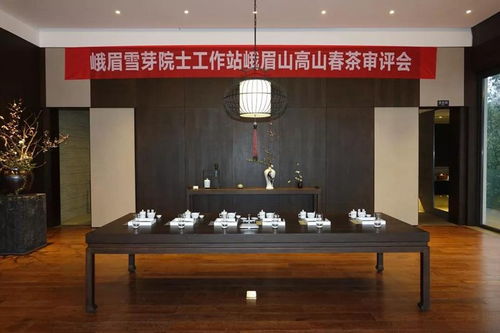 陈宗懋院士审评峨眉山高山春茶,为峨眉雪芽质量站台