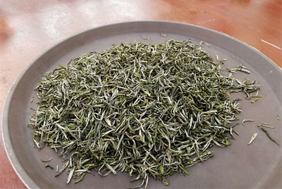 银球茶香飘雷公山
