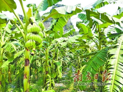 三年帮扶50户贫困户脱贫