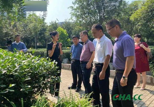 福建省委宣传部一行莅临八马茶业调研指导