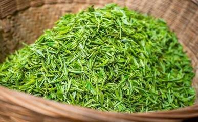 东坑镇举办白茶种植生产专题培训会